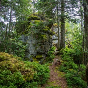 Urlaub im Bayerischen Wald