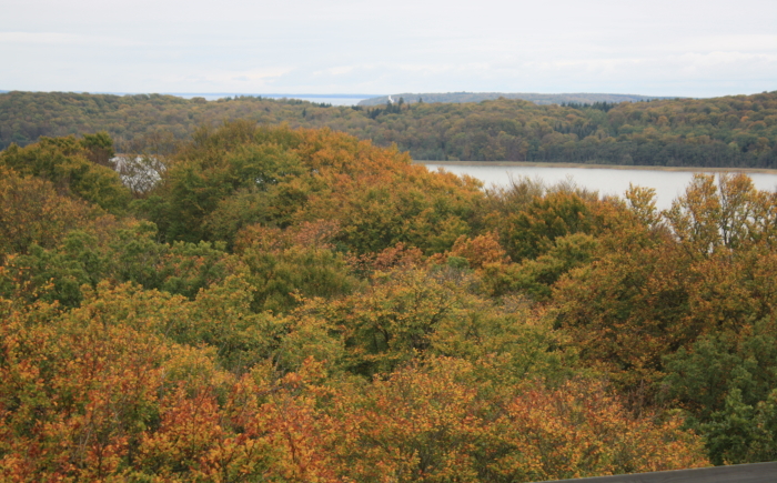 Ausblick vom Adlerhorst